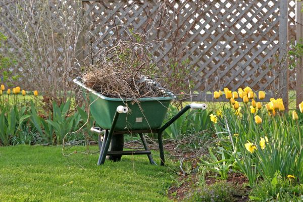 Flower Bed Cleanup Service in Van Nuys
