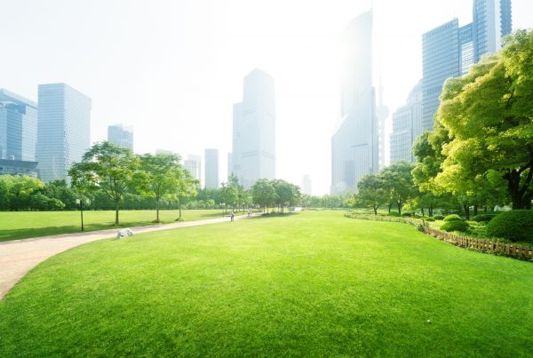 Commercial Landscape Maintenance in Van Nuys