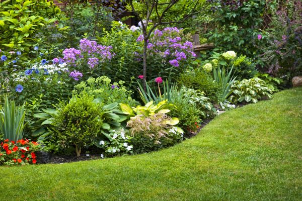Flower Bed Service in Van Nuys