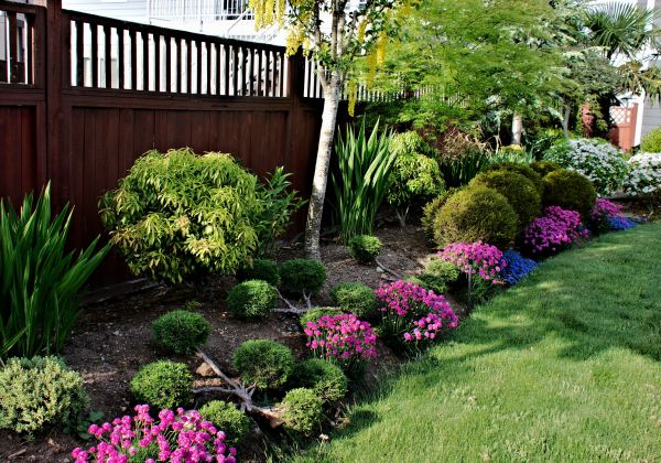Garden Care Service in Van Nuys