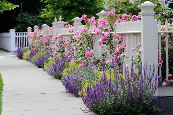 Garden Handyman Service in Van Nuys