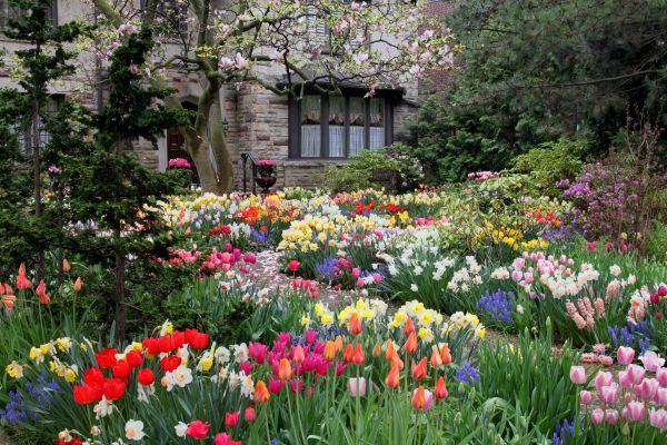 Garden Maintenance Service in Van Nuys