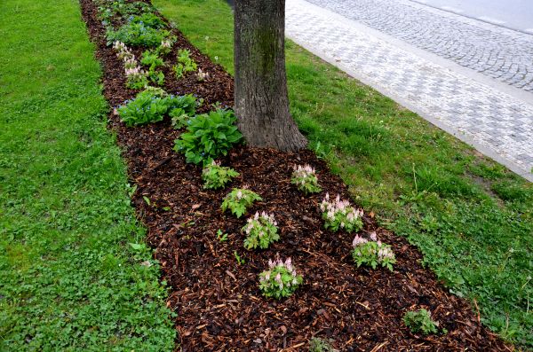 Mulch Replacement Service in Van Nuys