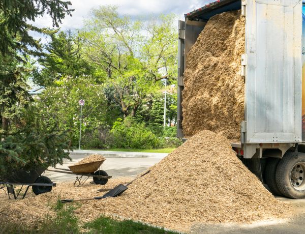 Wood Chips Delivery in Van Nuys