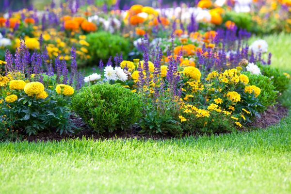 Garden Installation in Van Nuys