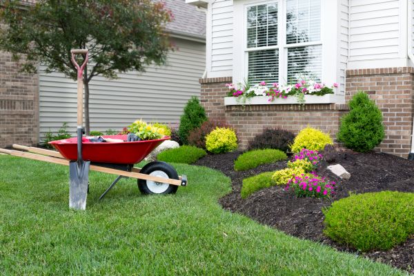 Landscape Maintenance Service in Van Nuys