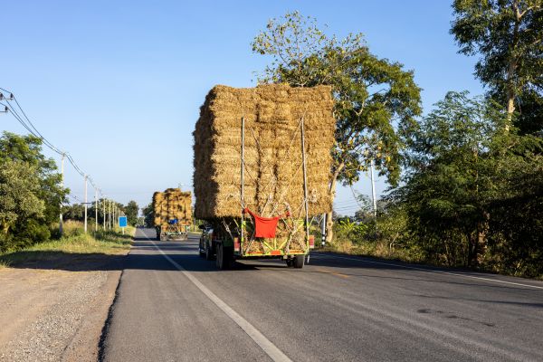 Pine Straw Delivery in Van Nuys