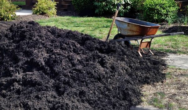 Black Mulch Delivery in Van Nuys