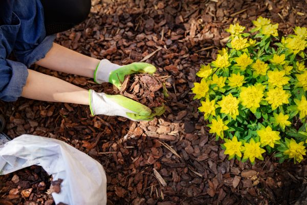 Garden Mulching in Van Nuys