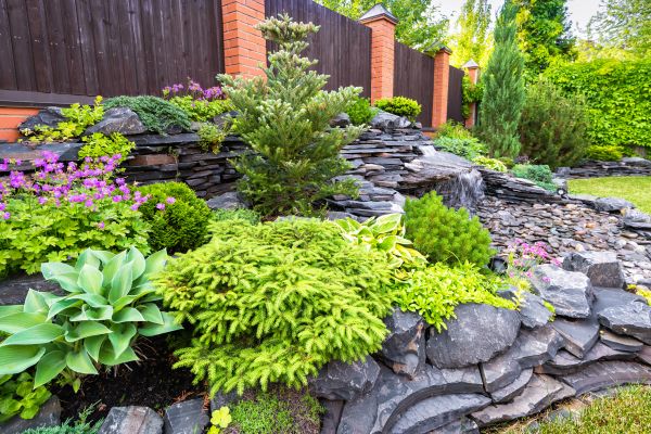 Landscape Remodeling in Van Nuys
