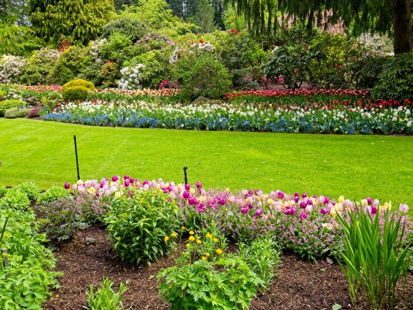 Residential Landscape Design in Van Nuys