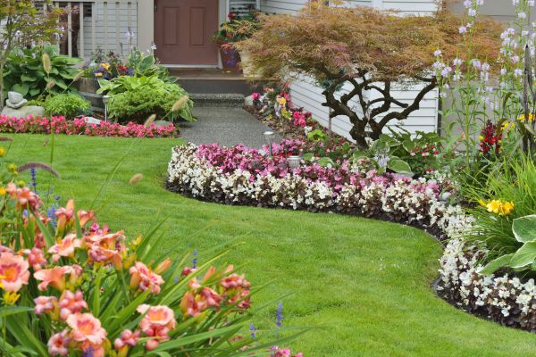 Perennial Landscaping in Van Nuys