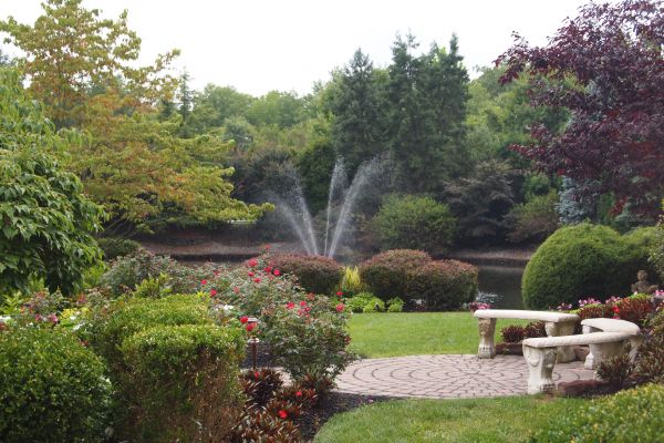 Courtyard Design Service in Van Nuys