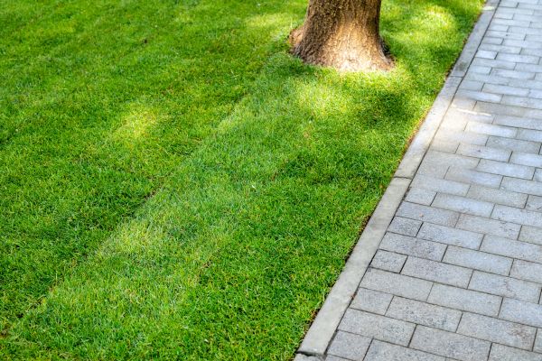 Border Stone Installation in Van Nuys