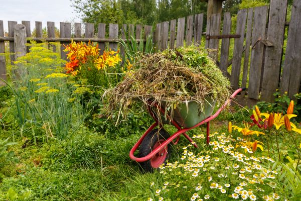 Garden Cleanup Service in Van Nuys