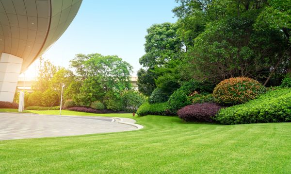 Business Landscape Design in Van Nuys