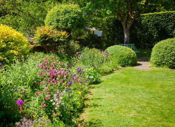 Yard Landscaping Service in Van Nuys