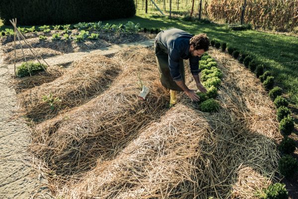 Straw Mulching Service in Van Nuys
