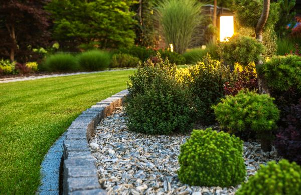 Landscaping Service in Van Nuys