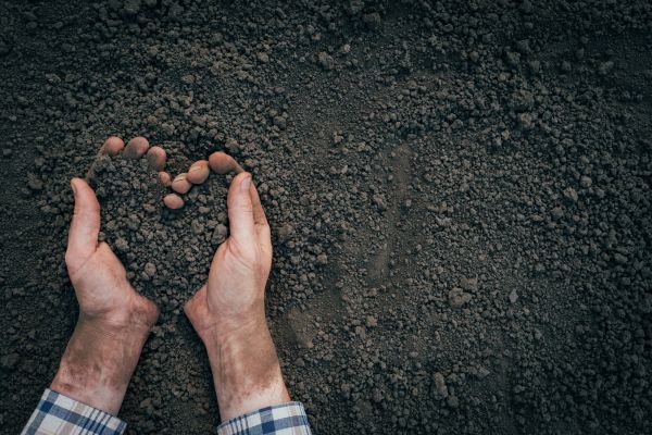 Soil Installation in Van Nuys