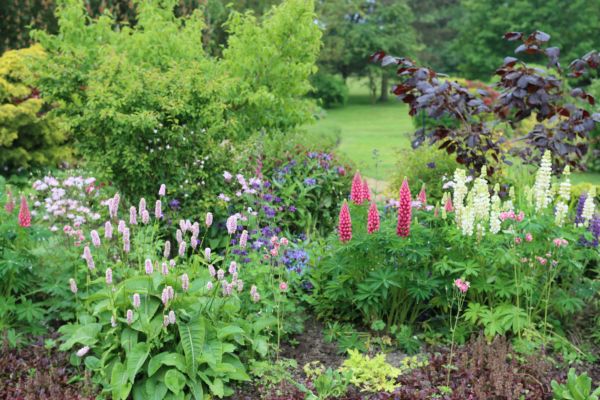 Flower Bed Planting in Van Nuys