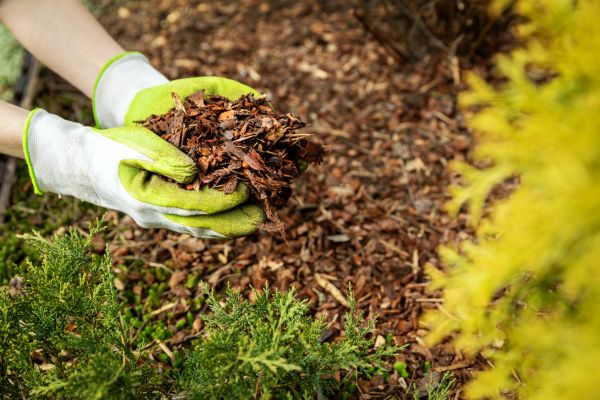 Garden Mulch Delivery in Van Nuys