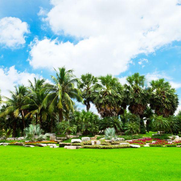 Tropical Landscaping in Van Nuys