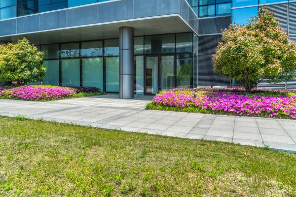 Commercial Gardening in Van Nuys