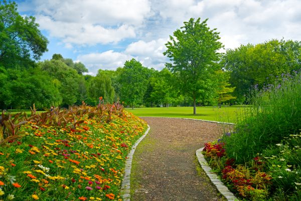 Park Landscaping in Van Nuys