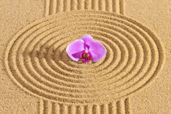 Sand Garden Landscaping in Van Nuys