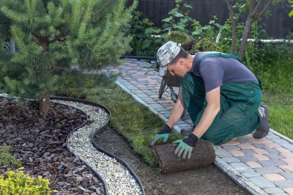 Landscaping Modification in Van Nuys