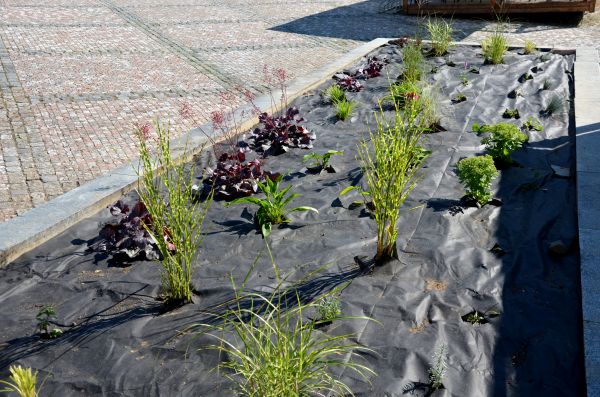 Landscape Fabric Installation in Van Nuys