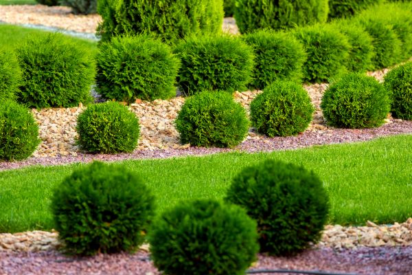 Bush Installation in Van Nuys