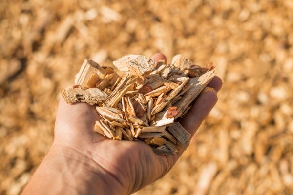 Wood Chips Spreading in Van Nuys