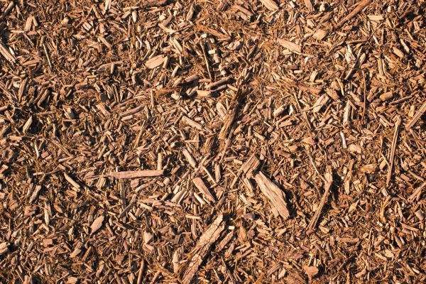 Wood Chips Removal in Van Nuys