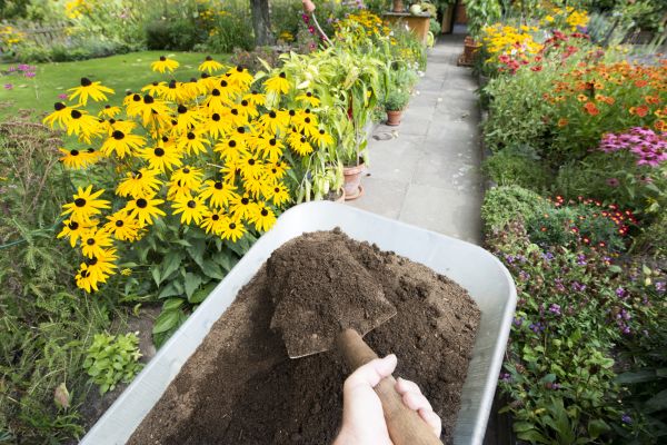 Topsoil Replacement in Van Nuys