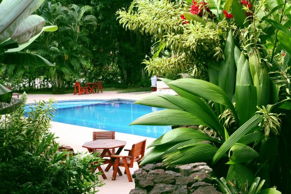 Pool Area Landscaping in Van Nuys