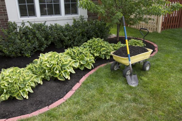 Landscape Mulching in Van Nuys