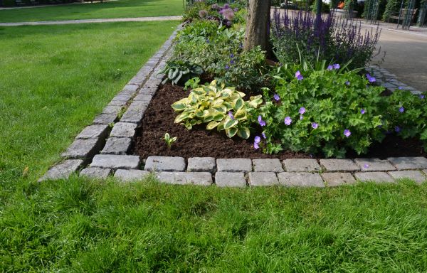 Flower Bed Mulching in Van Nuys