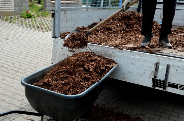 Playground Mulch Delivery in Van Nuys