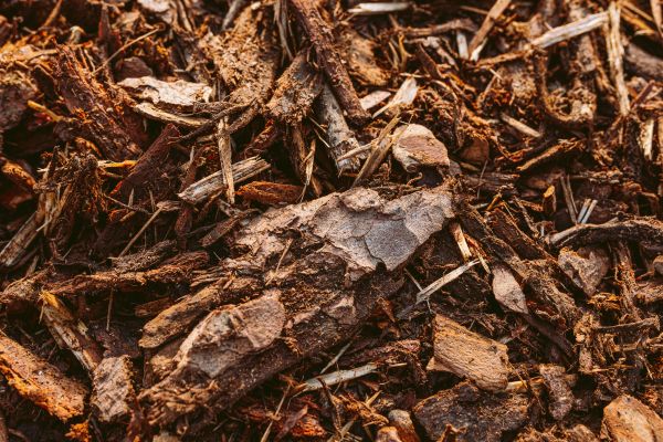 Bark Mulch Delivery in Van Nuys