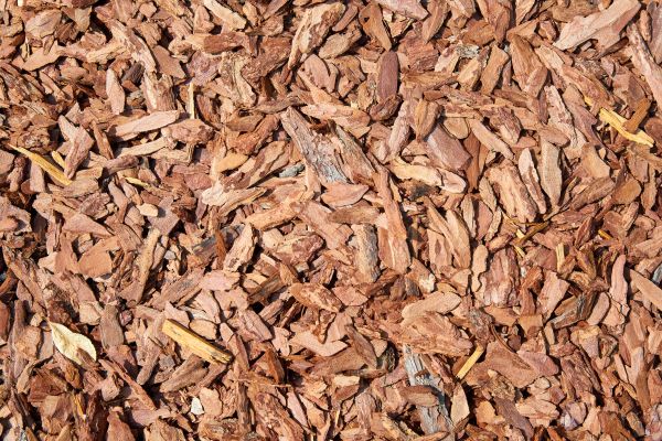Pine Mulch Spreading in Van Nuys