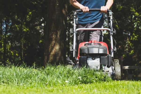 Garden Trimming Service in Van Nuys