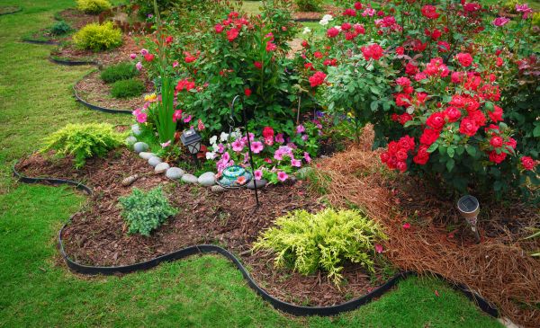 Floral Landscaping in Van Nuys