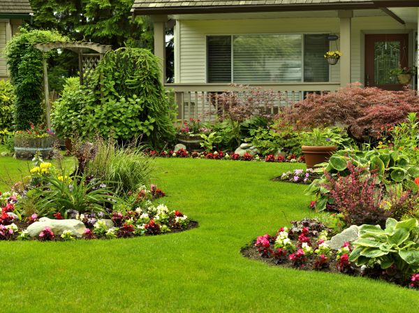 Flower Garden Planting in Van Nuys