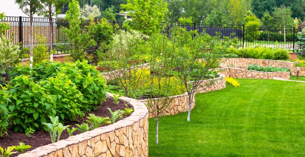 Yard Makeover Service in Van Nuys