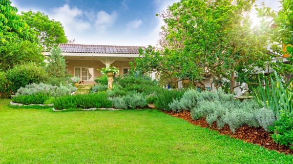 Greenery Planting in Van Nuys