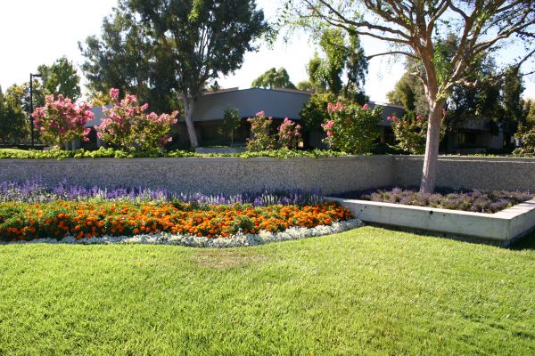 Commercial Landscape Service in Van Nuys