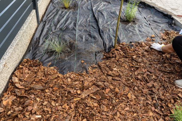 Pine Bark Spreading in Van Nuys