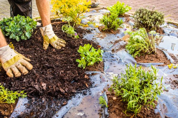 Mulch Fabric Installation in Van Nuys